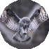 Owl s wings to help design aircraft wings